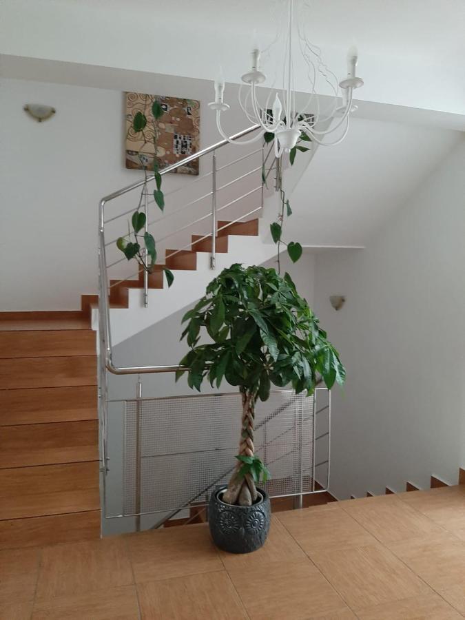 Dativo House Нэводари Экстерьер фото