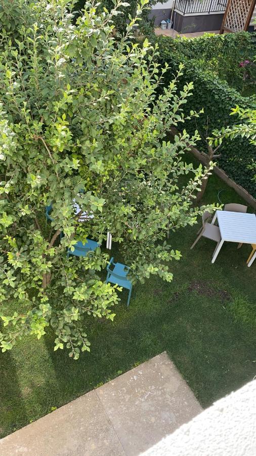 Dativo House Нэводари Экстерьер фото
